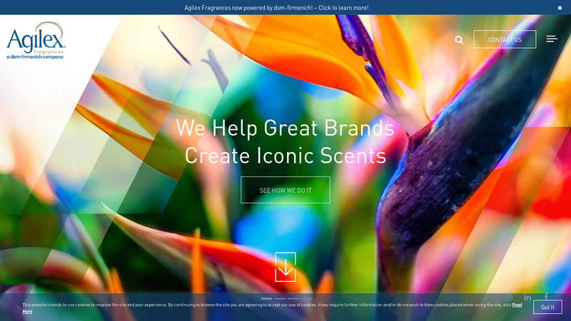Image of Perfume Manufacturers | Fragrance Manufacturer | Scent Suppliers