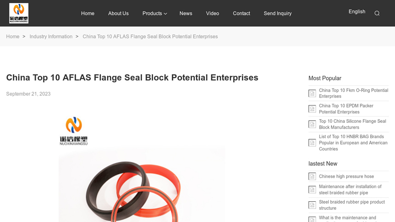 Image of Top 10 China Aflas Ring Manufacturers