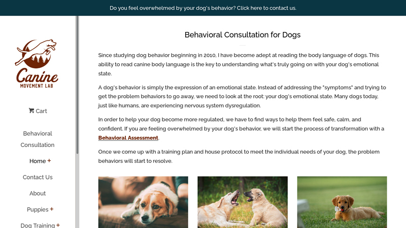 Canine Movement Lab: Holistic Dog Training in Chattanooga, TN