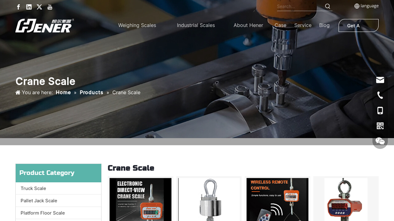 Image of Crane Scale Manufacturer & Supplier