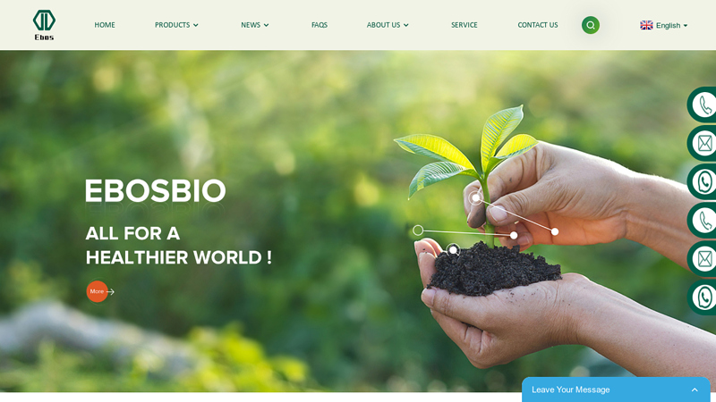 Image of China Mannitol Powder Factory Manufacturer and Supplier, Factory | Ebos ...