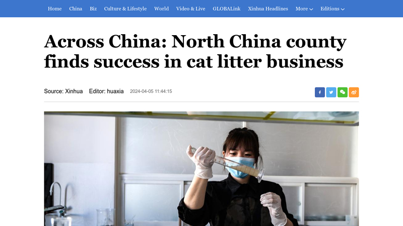 Image of Across China: North China county finds success in cat litter business