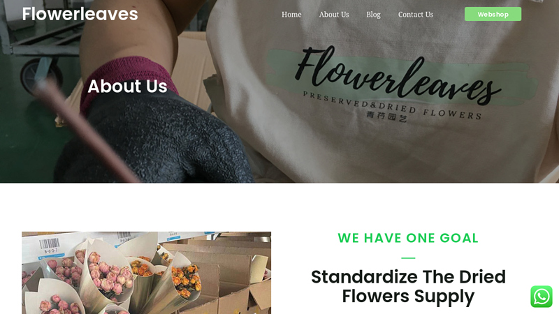 Image of Leading Dried Flowers Supplier from China- Flowerleaves