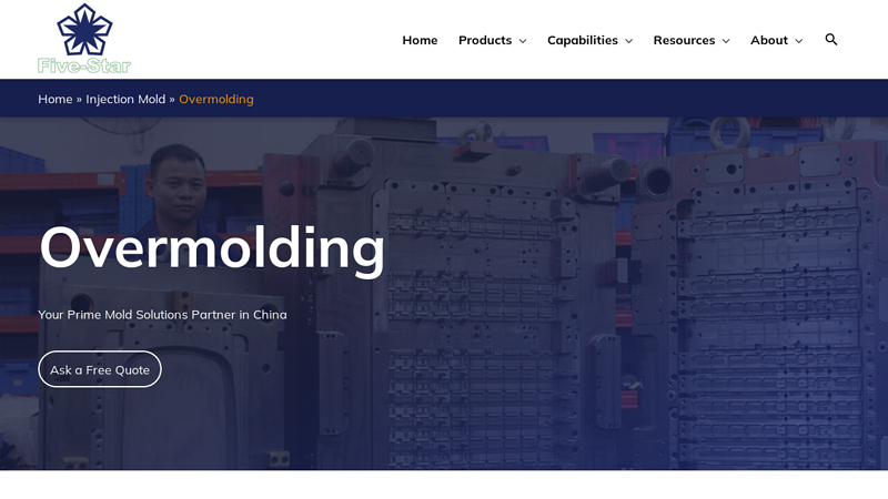 Image of Overmolding Manufacturer and Supplier in China | Five-Star
