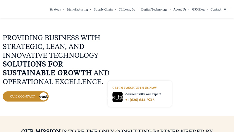 Global Business Management Consulting Firm, Process Consulting Services