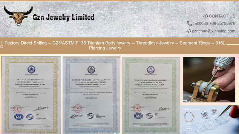 wholesale Grade23 ASTM F136 Titanium Piercing Jewelry - Gzn body Jewelry Limited -wholesale ASTM F136 Titanium body jewellry and G23 Titanium Jewelry - Gzn Jewelry Limited