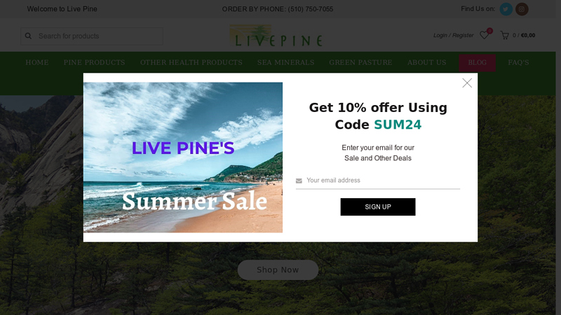 Live Pine - Buy Premium Quality Pine Products