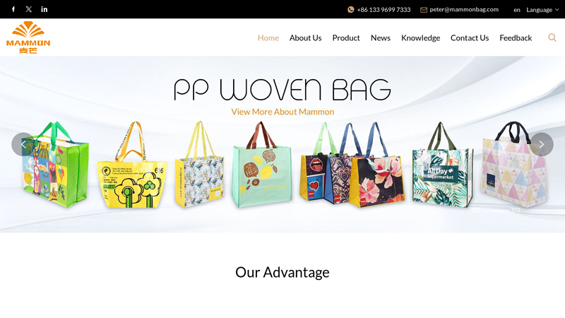 Image of China Non Woven Bag, Cotton Bag, Polyester Bag, Cooler Bag, Felt Bag ...