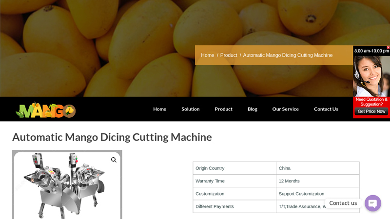 Image of Automatic Mango Dicing Cutting Machine