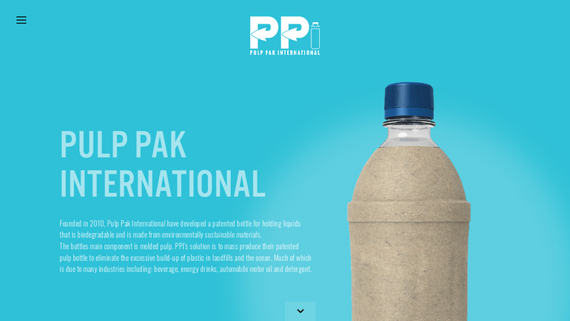 Pulp Pak International