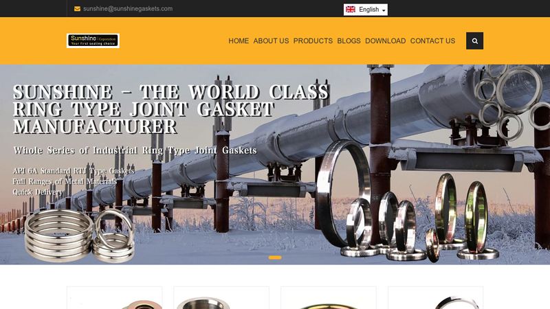 Sunshine? Seals | Ring Type Joint Gaskets | RTJ Gaskets