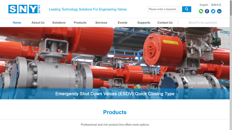 Image of Sny Valve