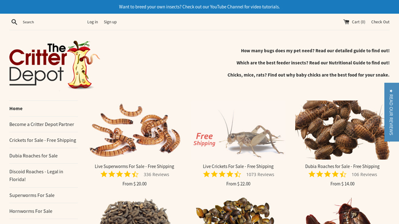 The Critter Depot - Live Crickets For Sale