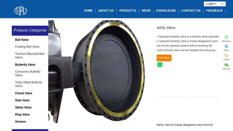 Image of China Check Valve Factory Suppliers Manufacturers