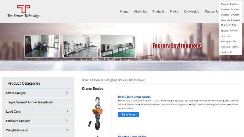 Image of China Crane Scales Manufacturers and Suppliers
