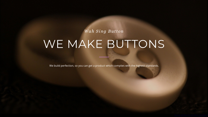 Image of Wah Sing Button Corporation Limited
