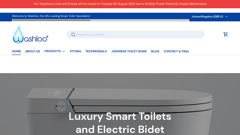 Luxury Electric Bidet Toilet Seats | Washloo?