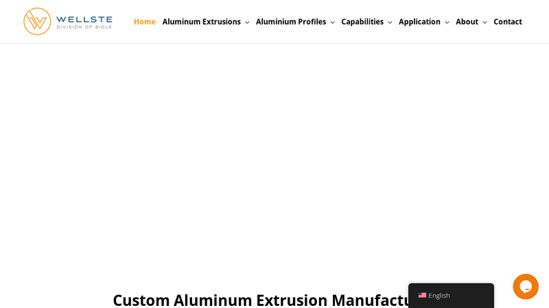 Image of Custom Aluminum Extrusion Manufacturer in China | Wellste
