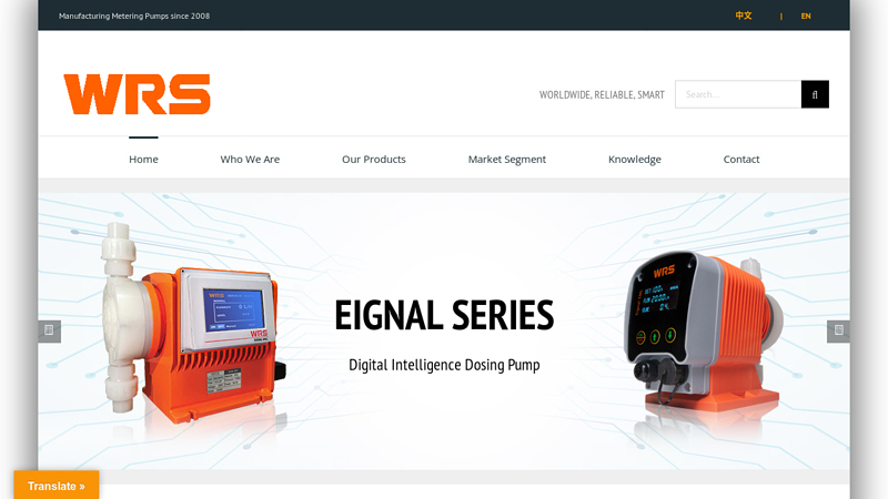 Image of WRS Metering Pump Manufacturer
